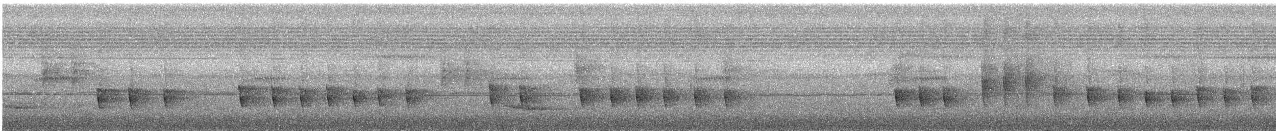 Langschnabel-Spinnenjäger - ML622766881