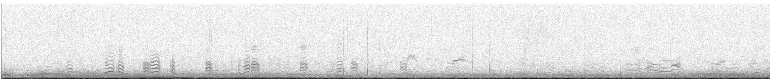 Long-tailed Duck - ML622766961