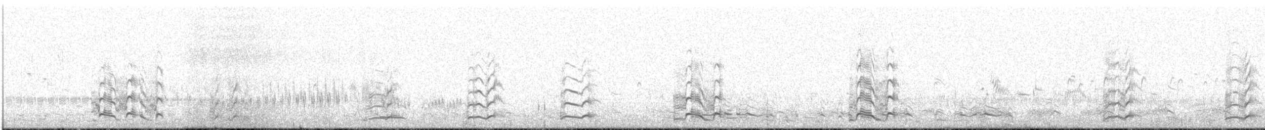 Greater White-fronted Goose - ML622766978