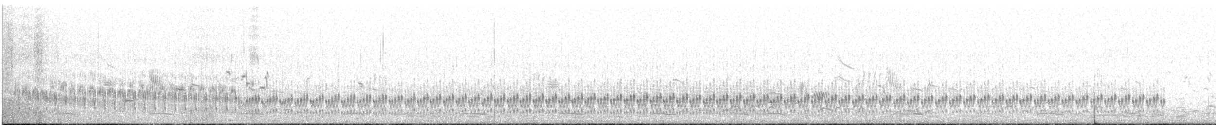 Semipalmated Sandpiper - ML622767061