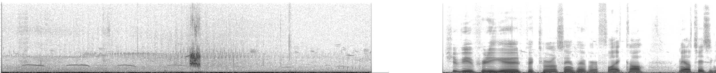 Pectoral Sandpiper - ML622767064