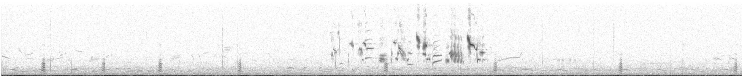 Long-tailed Duck - ML622767551