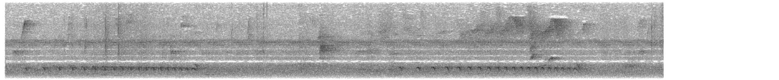 Lined Antshrike - ML622768315