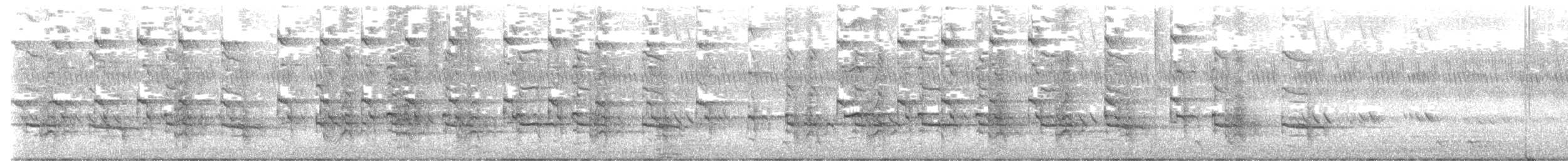 Râle à collier - ML622768751