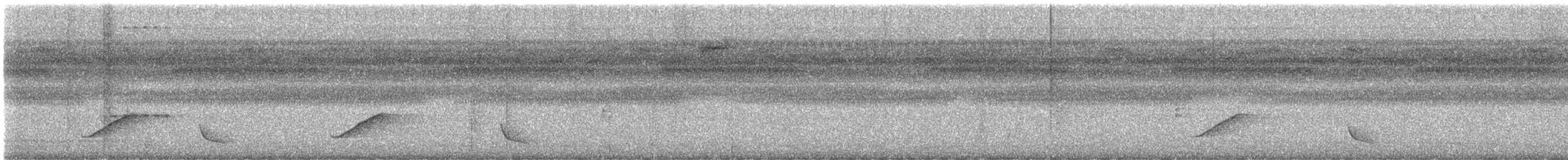 Orange-backed Troupial - ML622777980