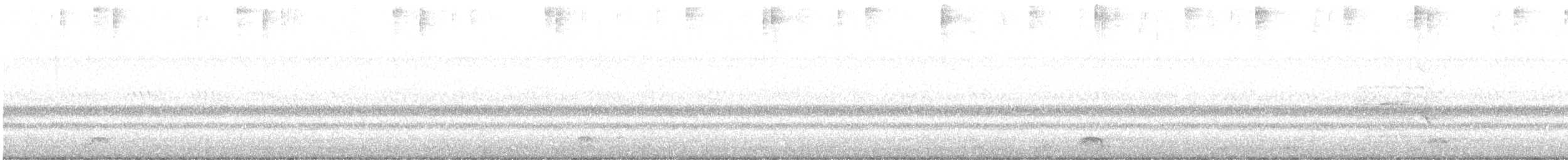 Nitticora - ML622779134