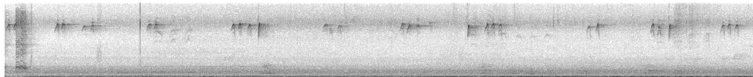 American Crow - ML622780369