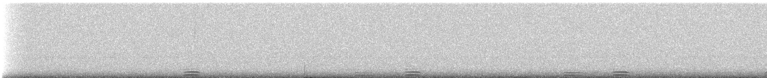 Flammulated Owl - ML622784331