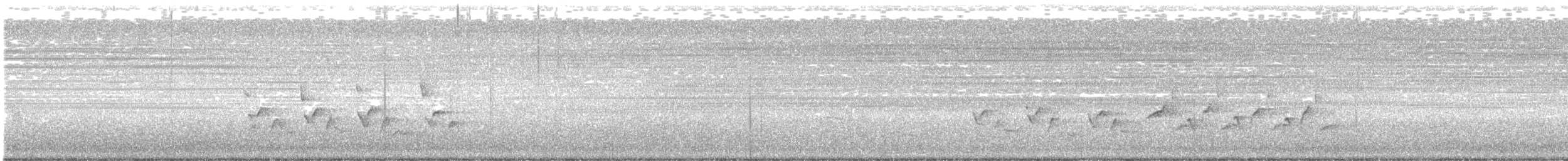 チャバラマユミソサザイ - ML622784551