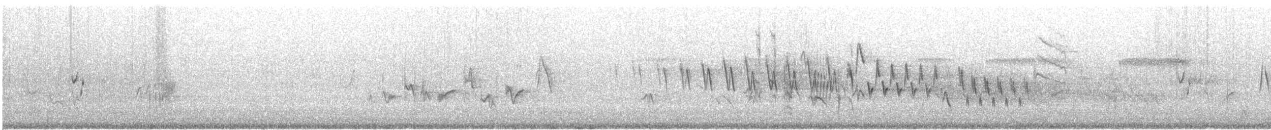 Buschland-Schnäppertyrann - ML622789157