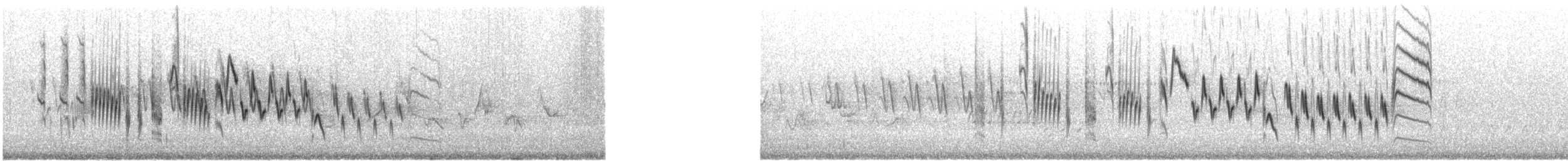 Hauszaunkönig - ML622789164