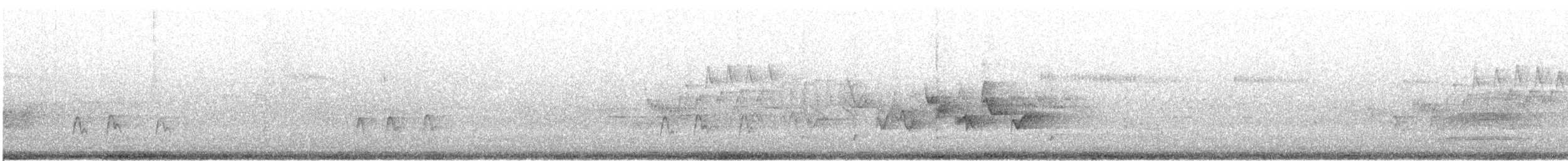 Olivflanken-Schnäppertyrann - ML622789177