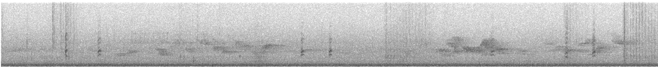 Western Warbling Vireo - ML622789187