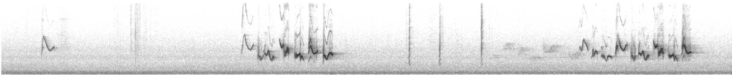 Western Warbling Vireo - ML622789201