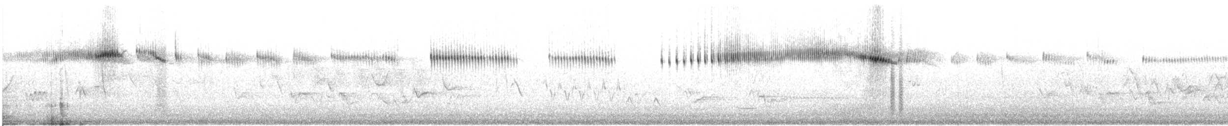 Broad-tailed Hummingbird - ML622789263