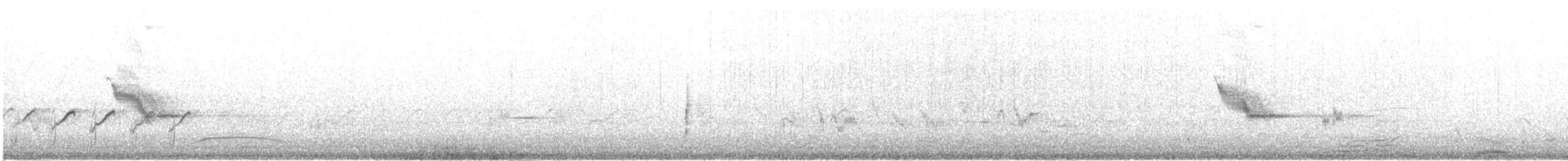 Кольчатая чернеть - ML622789280