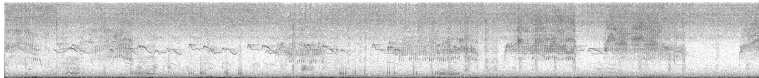 White Ibis - ML622798921