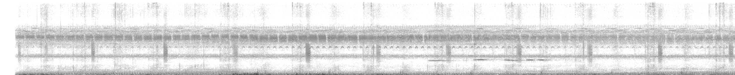 Pavonine Cuckoo - ML622803653