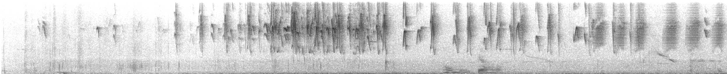 Maskenhakenschnabel - ML622804278