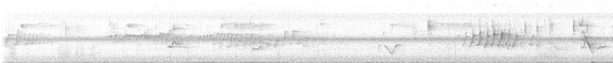 Pine Warbler - ML622809054
