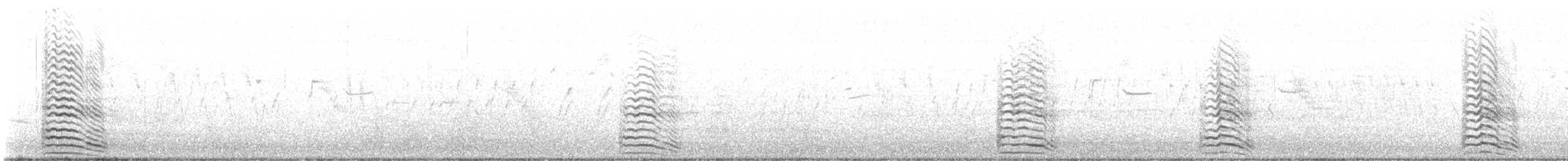 Lesser Black-backed Gull (graellsii) - ML622817891