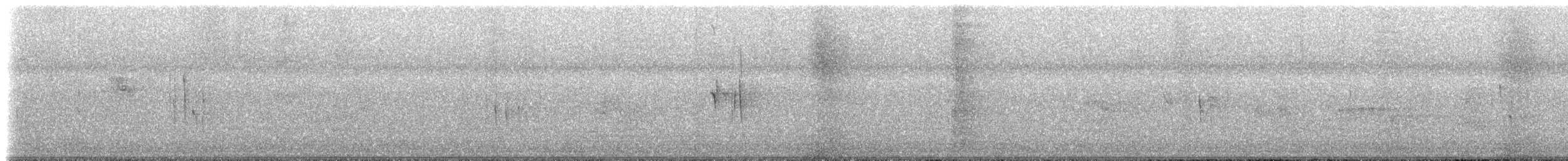 White-banded Swallow - ML622818497