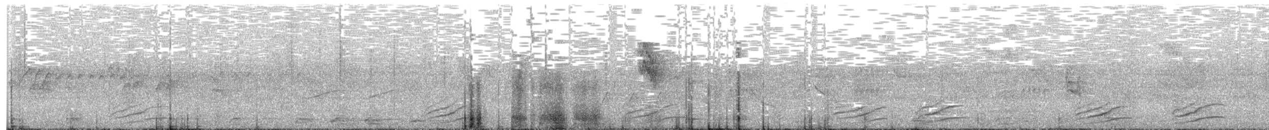 Barred Antshrike - ML622820082