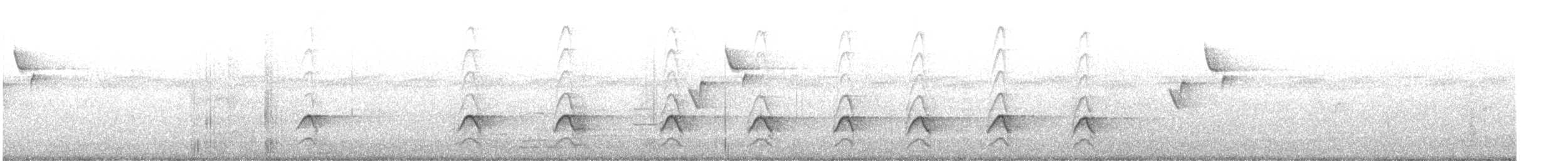 Méliphage marqué - ML622827544