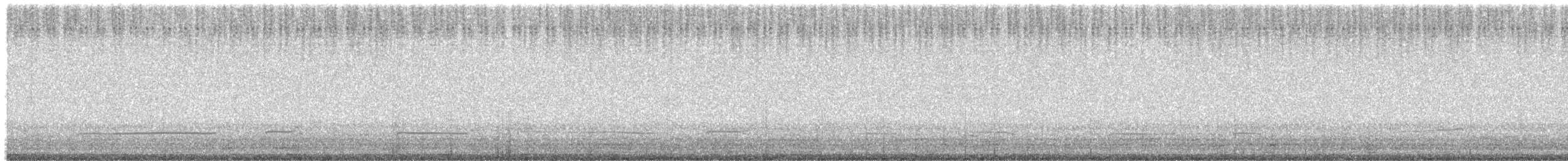 Eurasian Thick-knee - ML622832547