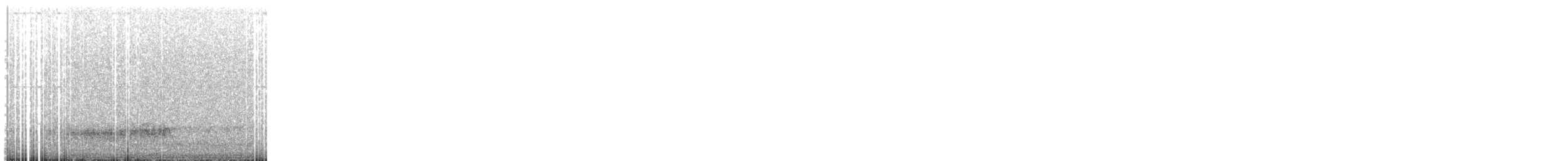 Western Barn Owl - ML622832552