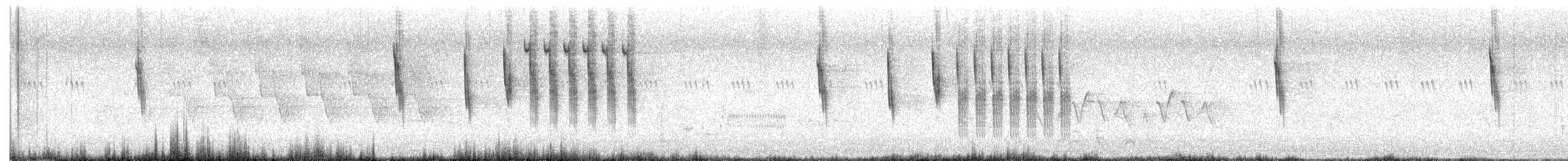 Seggenzaunkönig - ML622836940