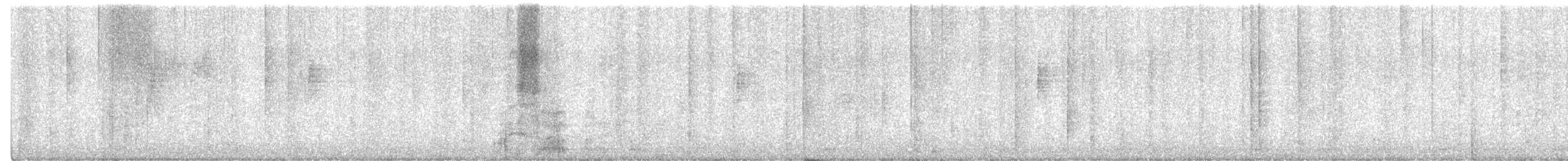 MacGillivray's Warbler - ML622836977