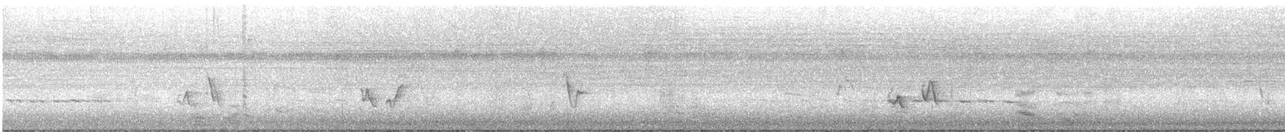 Black-whiskered Vireo - ML622839419