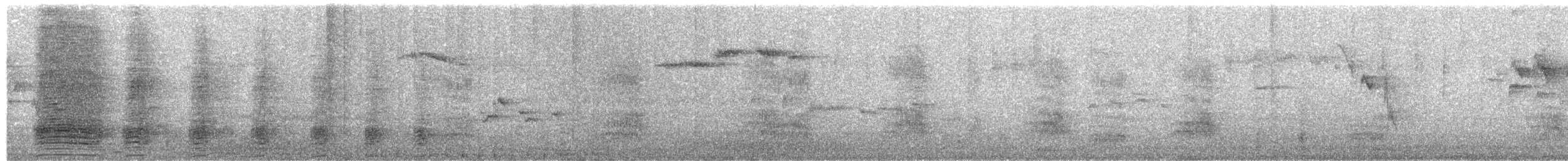 Stockente - ML622841952