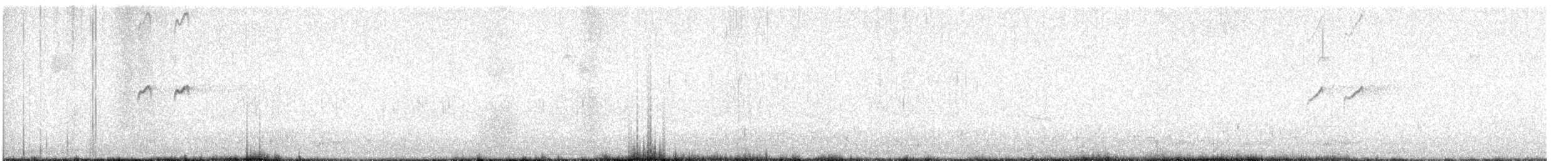 Solitary Sandpiper - ML622846750