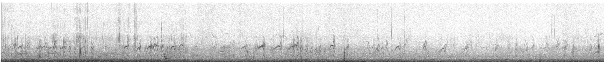 Semipalmated Plover - ML622847346