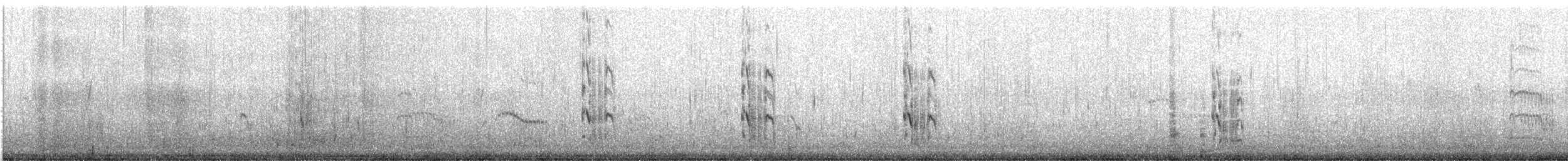 Roseate Tern - ML622848510