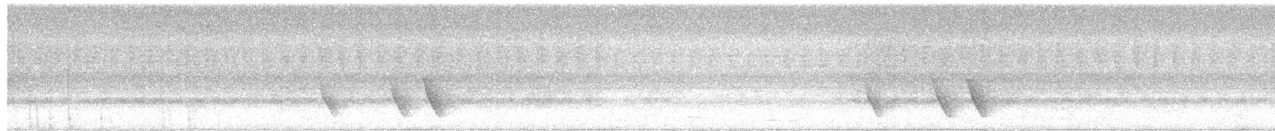 ホオジロマユミソサザイ - ML622852590