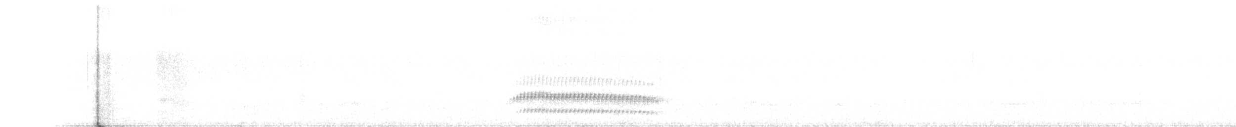 Pale-bellied Tapaculo - ML622853303