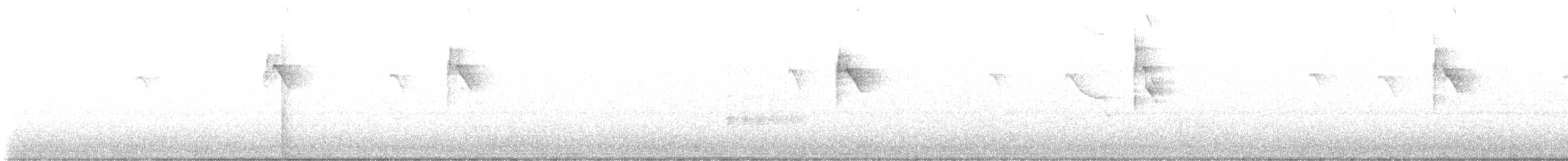 Tyran tritri - ML622854588