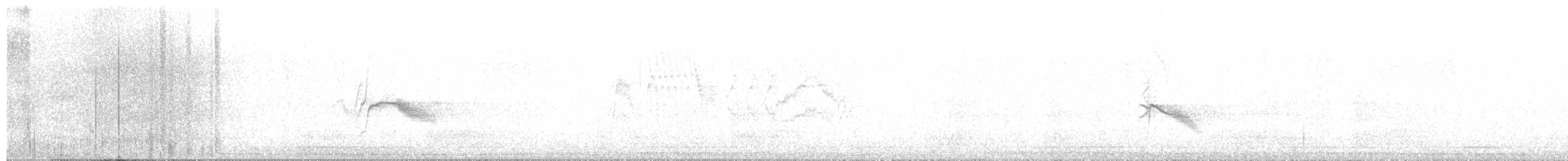 Gray-cheeked Thrush - ML622860304