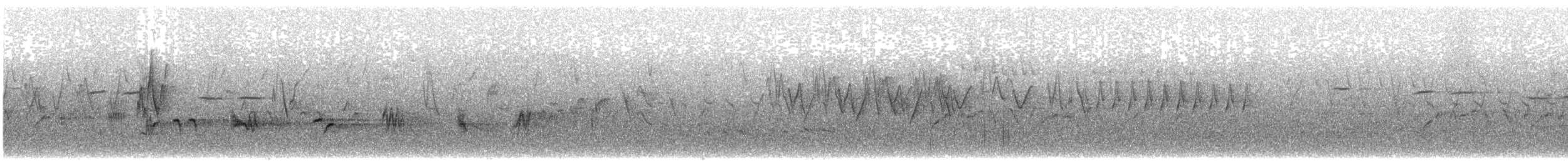 Himalayan Thrush - ML622865403