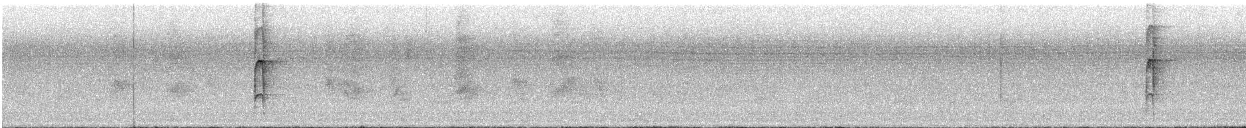 Arizona Woodpecker - ML622879349