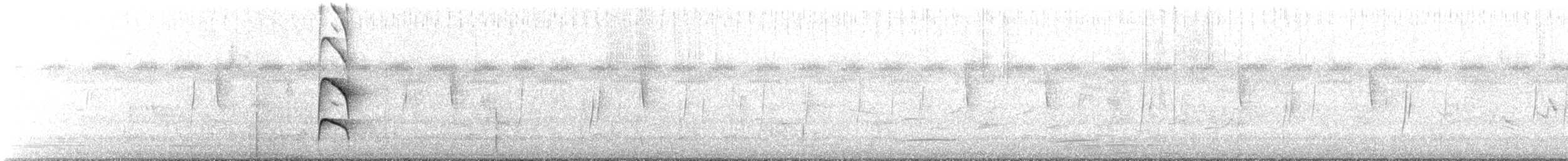 Nutting's/Salvadoran Flycatcher - ML622884703