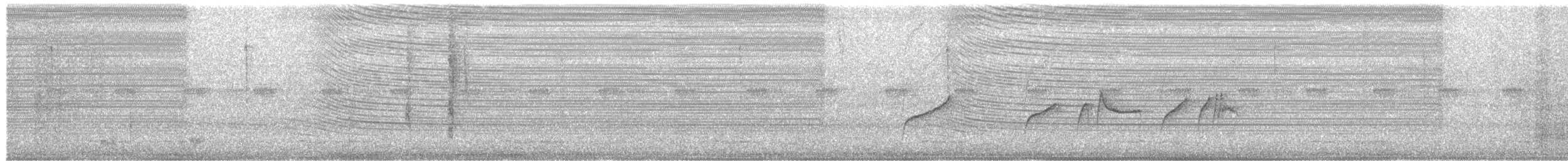 Moucherolle à longs brins - ML622884848