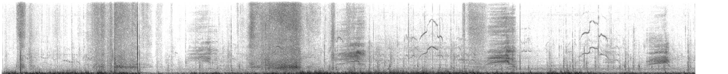 Caspian Tern - ML622889983