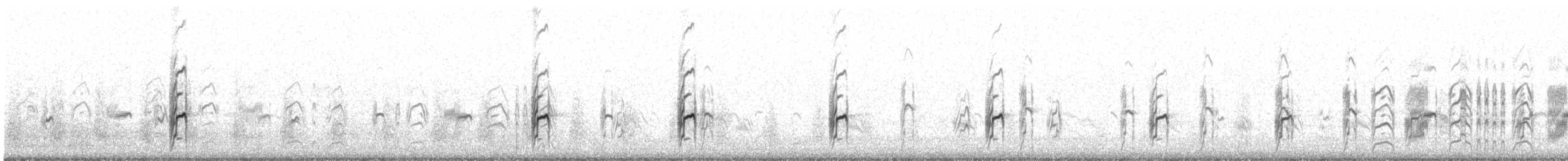 Peruvian Tern - ML622893361