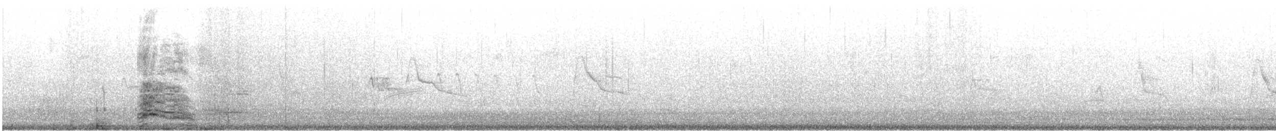 California Gull - ML622893529