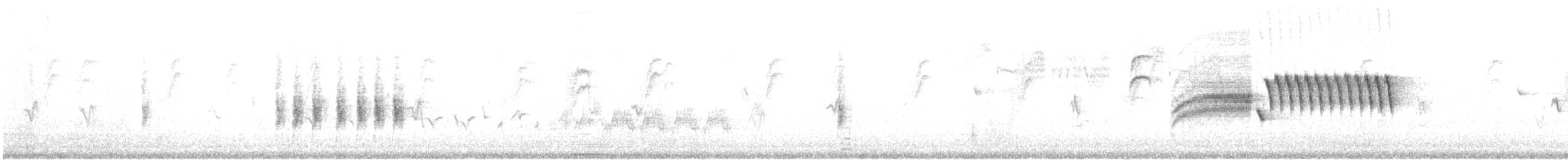 Bewick's Wren - ML622893574