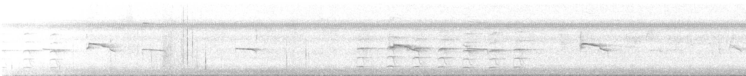 Northern Beardless-Tyrannulet - ML622893603